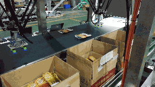 4.蚕豆现场出产视频_clip.gif